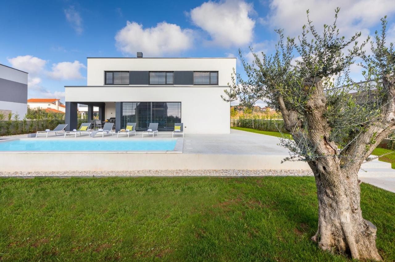Amazing Private Villa With Outdoor Swimming Pool In Vodnjan Dış mekan fotoğraf